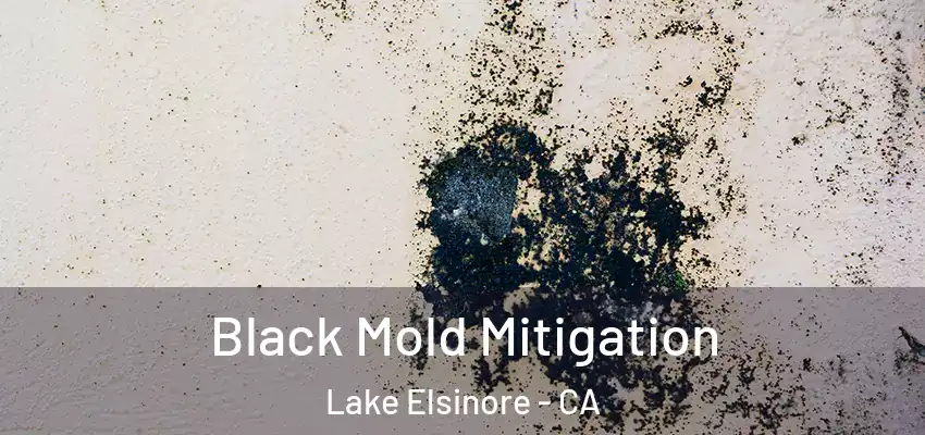 Black Mold Mitigation Lake Elsinore - CA