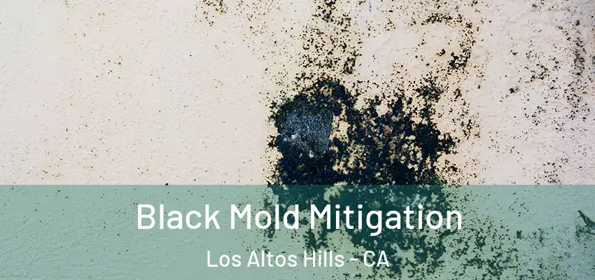 Black Mold Mitigation Los Altos Hills - CA