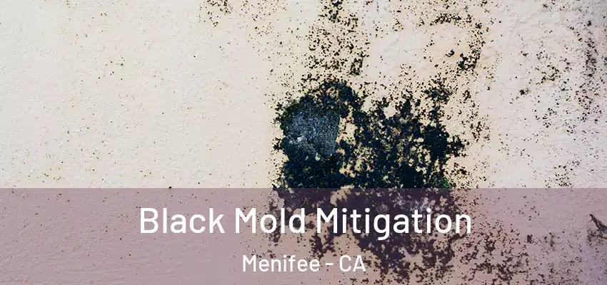  Black Mold Mitigation Menifee - CA