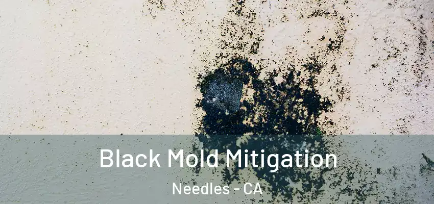  Black Mold Mitigation Needles - CA