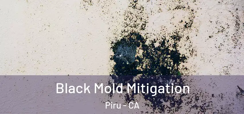  Black Mold Mitigation Piru - CA