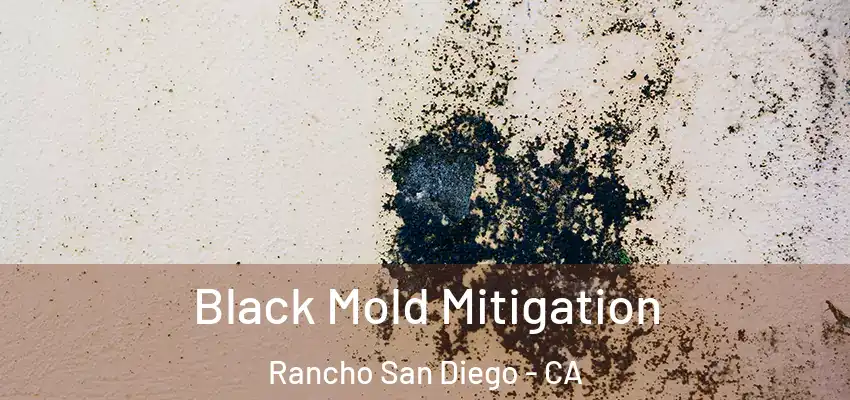  Black Mold Mitigation Rancho San Diego - CA