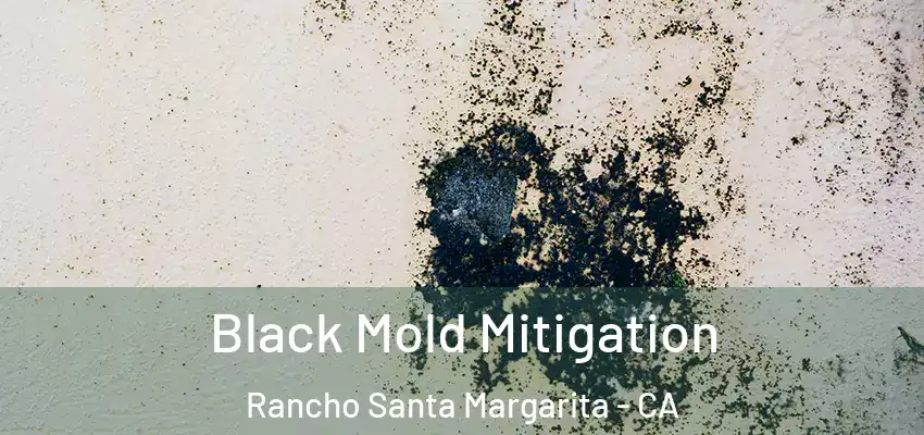  Black Mold Mitigation Rancho Santa Margarita - CA