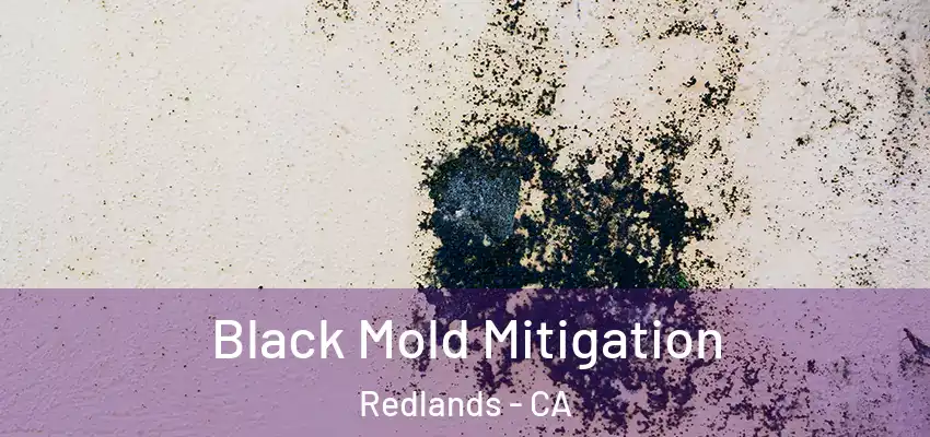  Black Mold Mitigation Redlands - CA