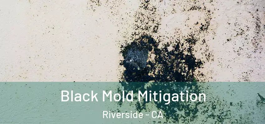  Black Mold Mitigation Riverside - CA