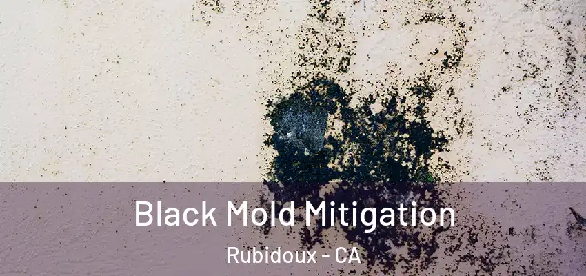  Black Mold Mitigation Rubidoux - CA
