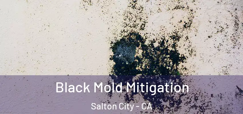  Black Mold Mitigation Salton City - CA