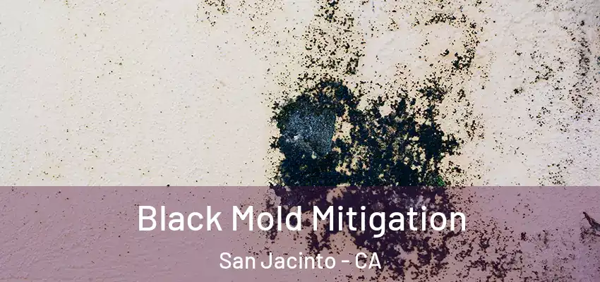  Black Mold Mitigation San Jacinto - CA