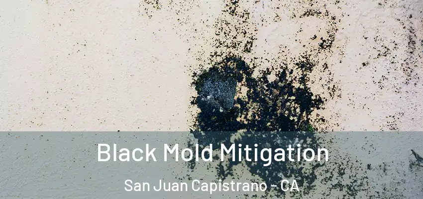  Black Mold Mitigation San Juan Capistrano - CA