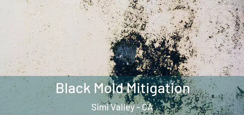  Black Mold Mitigation Simi Valley - CA