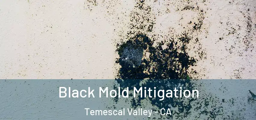  Black Mold Mitigation Temescal Valley - CA
