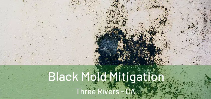  Black Mold Mitigation Three Rivers - CA