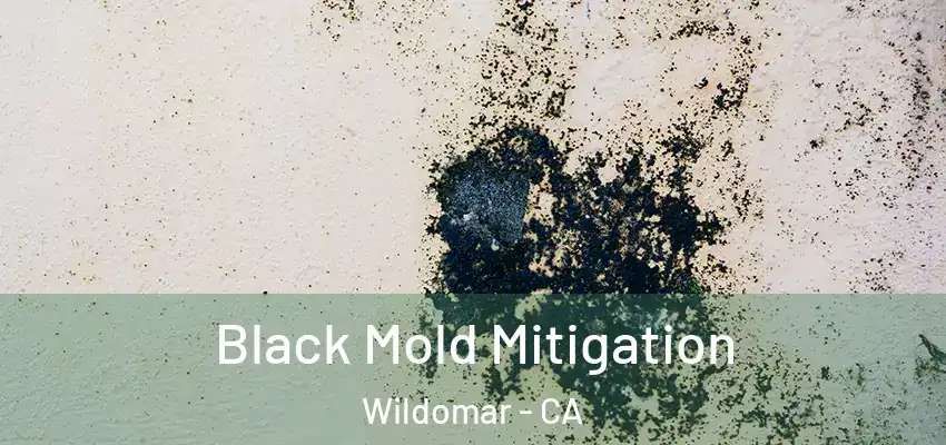  Black Mold Mitigation Wildomar - CA