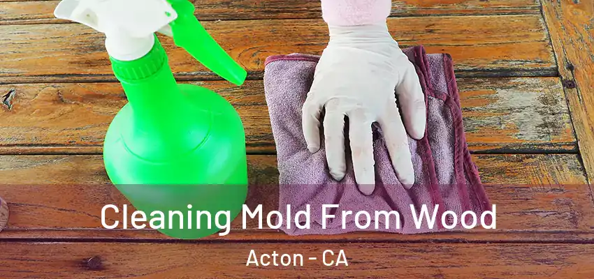  Cleaning Mold From Wood Acton - CA