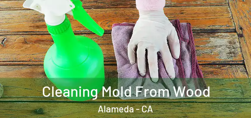  Cleaning Mold From Wood Alameda - CA
