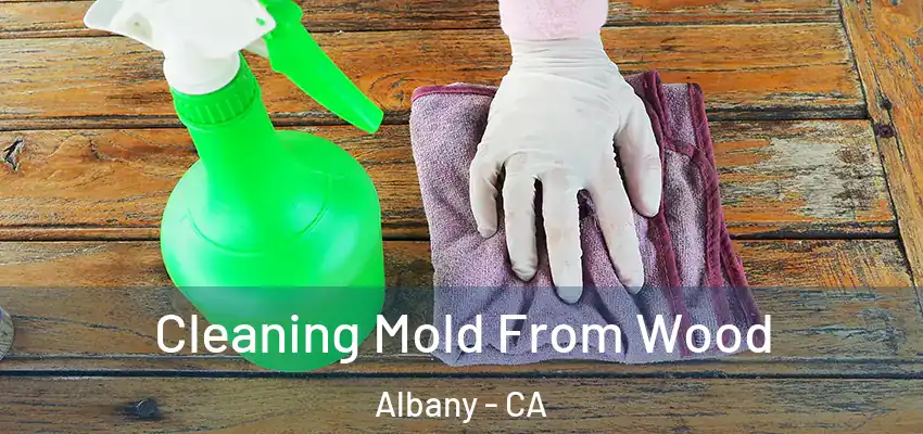 Cleaning Mold From Wood Albany - CA