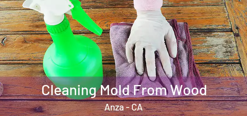  Cleaning Mold From Wood Anza - CA
