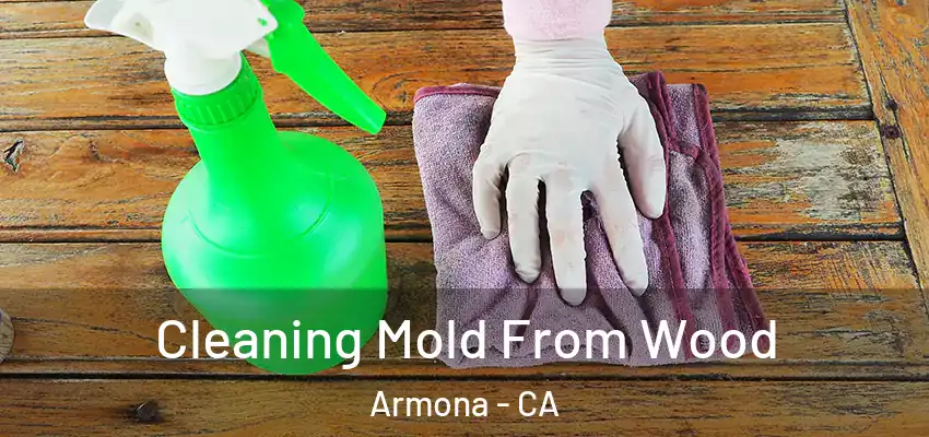 Cleaning Mold From Wood Armona - CA