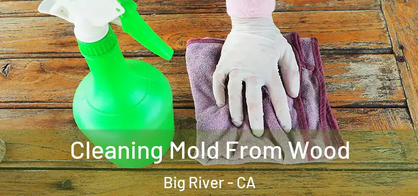  Cleaning Mold From Wood Big River - CA