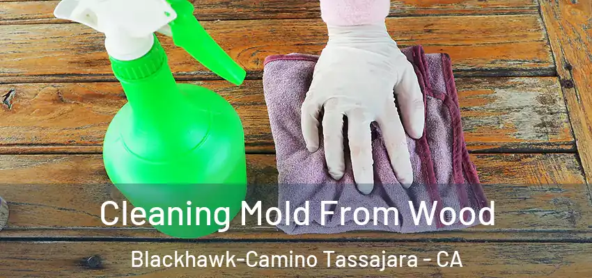  Cleaning Mold From Wood Blackhawk-Camino Tassajara - CA