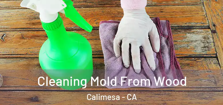  Cleaning Mold From Wood Calimesa - CA