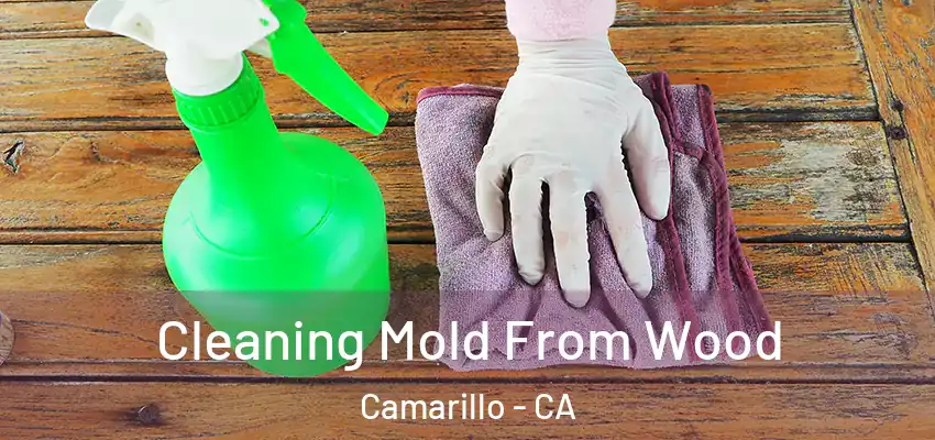  Cleaning Mold From Wood Camarillo - CA