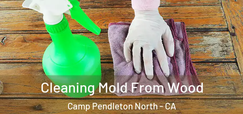  Cleaning Mold From Wood Camp Pendleton North - CA