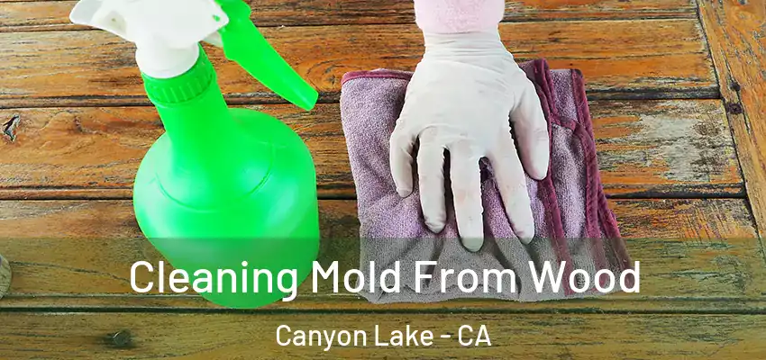  Cleaning Mold From Wood Canyon Lake - CA
