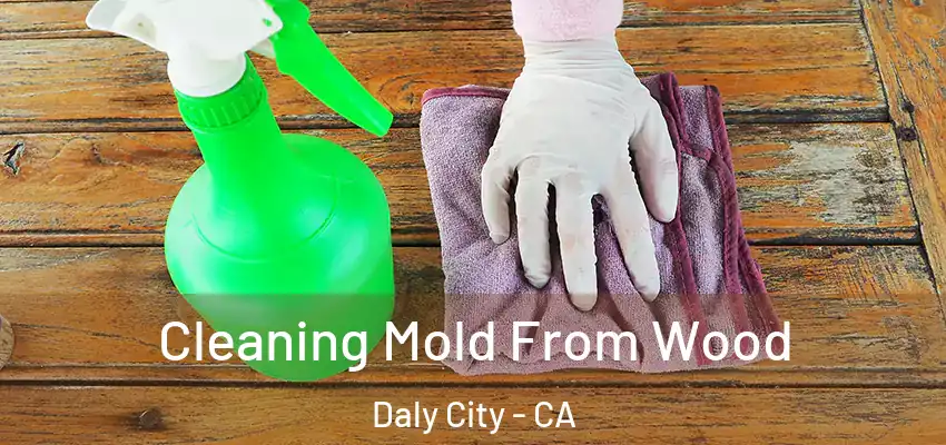  Cleaning Mold From Wood Daly City - CA