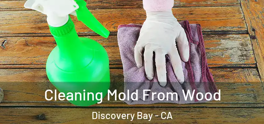  Cleaning Mold From Wood Discovery Bay - CA