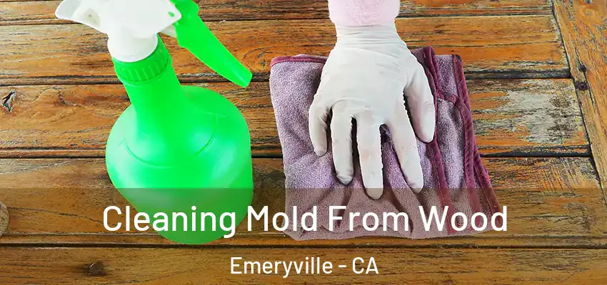 Cleaning Mold From Wood Emeryville - CA