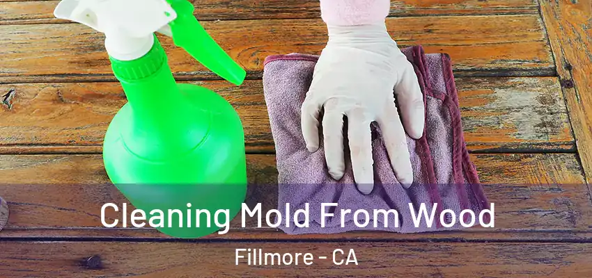  Cleaning Mold From Wood Fillmore - CA