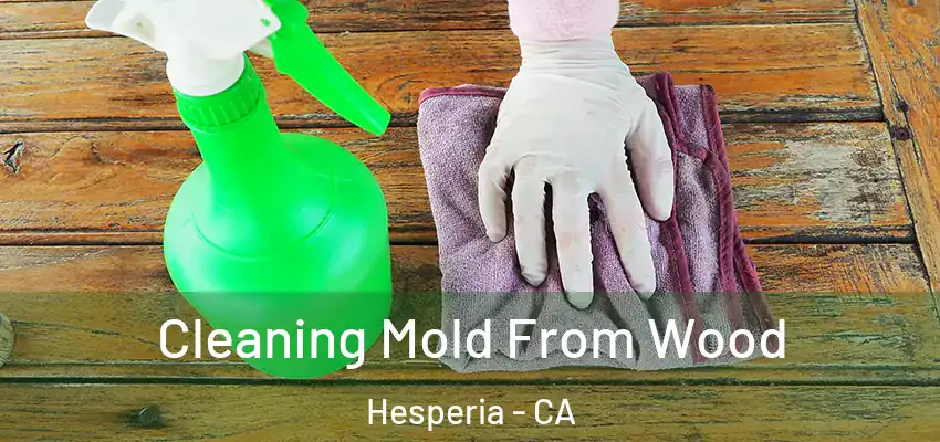 Cleaning Mold From Wood Hesperia - CA