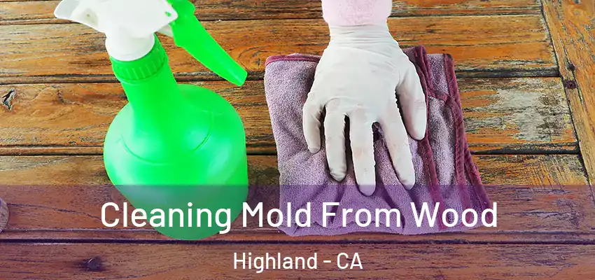  Cleaning Mold From Wood Highland - CA