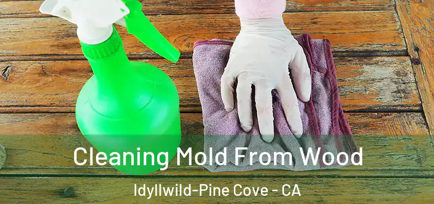  Cleaning Mold From Wood Idyllwild-Pine Cove - CA