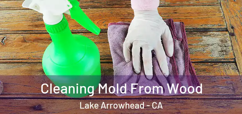 Cleaning Mold From Wood Lake Arrowhead - CA