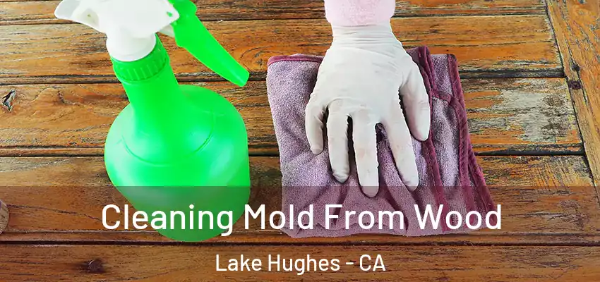  Cleaning Mold From Wood Lake Hughes - CA
