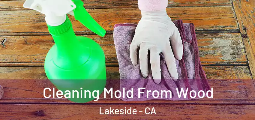  Cleaning Mold From Wood Lakeside - CA