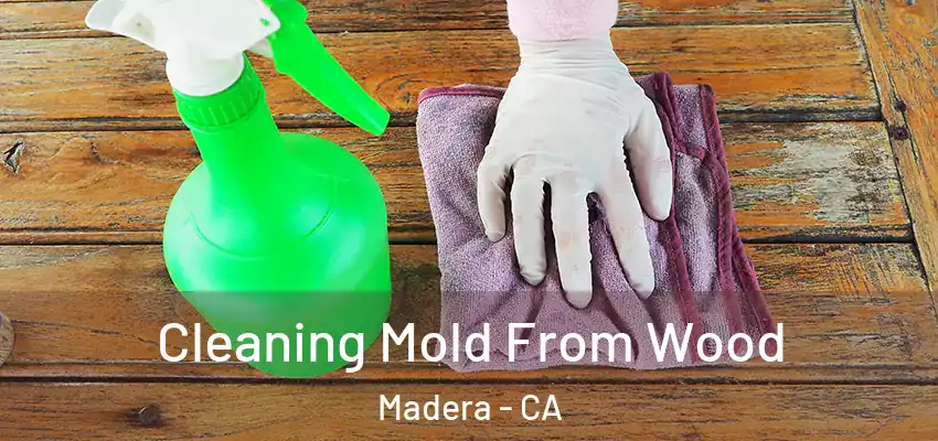  Cleaning Mold From Wood Madera - CA