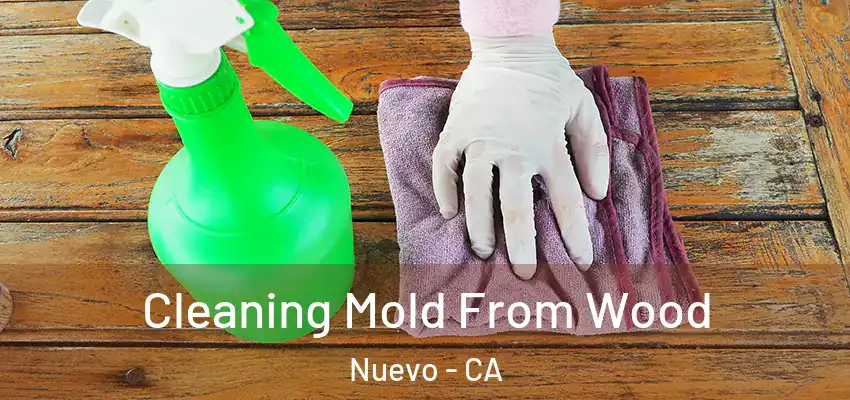  Cleaning Mold From Wood Nuevo - CA