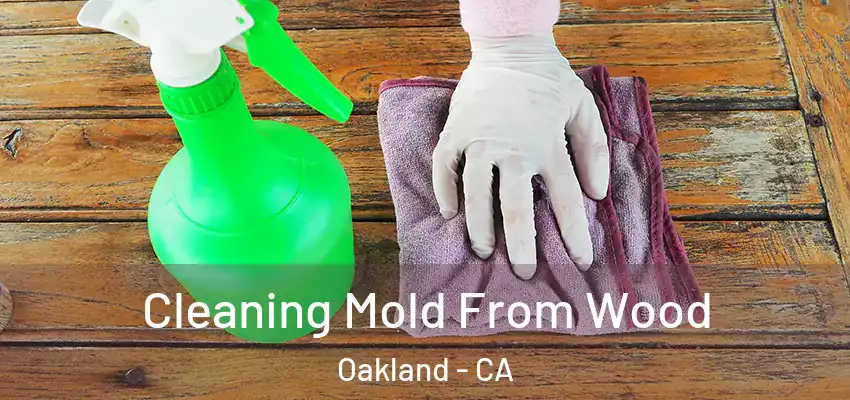  Cleaning Mold From Wood Oakland - CA