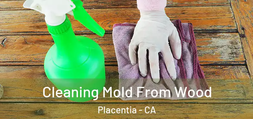  Cleaning Mold From Wood Placentia - CA
