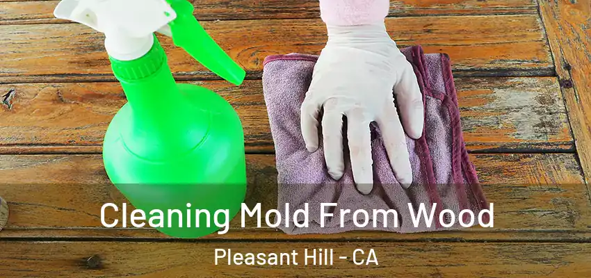  Cleaning Mold From Wood Pleasant Hill - CA