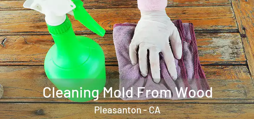  Cleaning Mold From Wood Pleasanton - CA