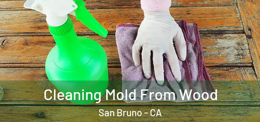  Cleaning Mold From Wood San Bruno - CA