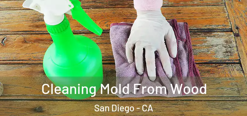  Cleaning Mold From Wood San Diego - CA