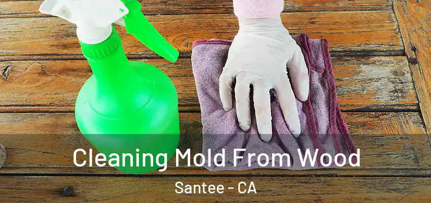  Cleaning Mold From Wood Santee - CA