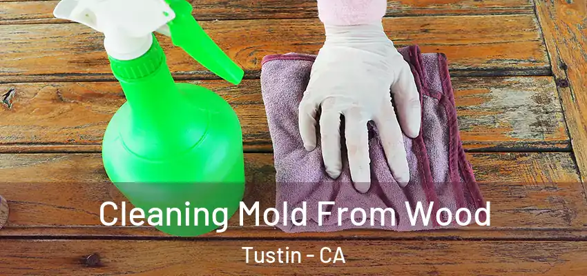  Cleaning Mold From Wood Tustin - CA