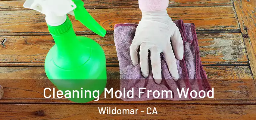  Cleaning Mold From Wood Wildomar - CA