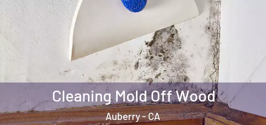  Cleaning Mold Off Wood Auberry - CA